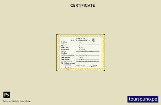 listo para imprimir plantilla PSD del certificado de nacimiento del registro v 1